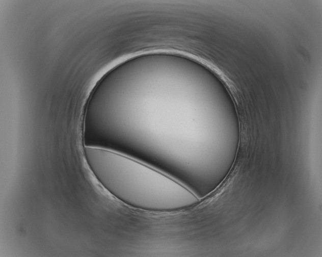 X0000114531534200910191000