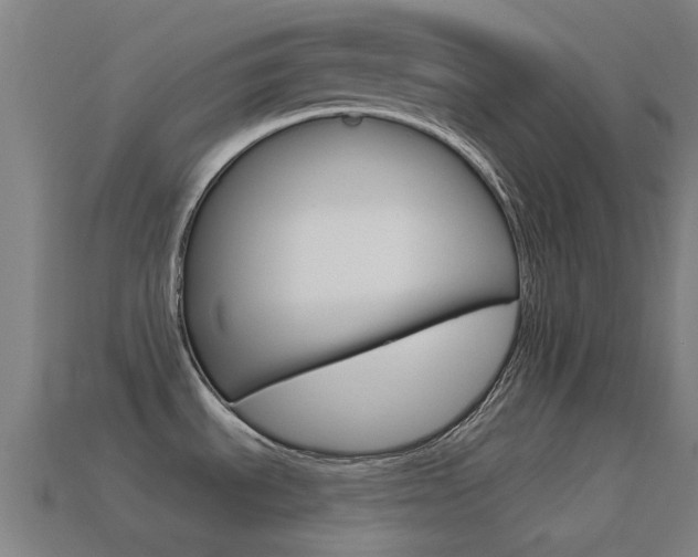 X0000114531535200910191000