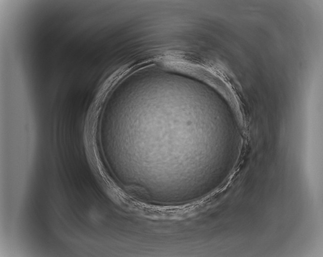 X0000114530001200910191331