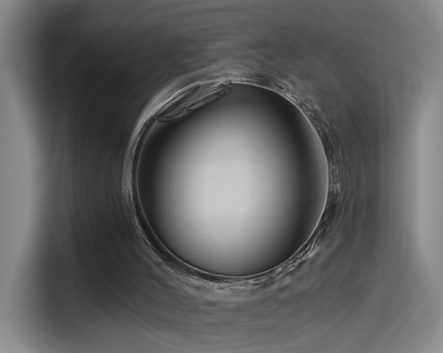 X0000114530004200910191331