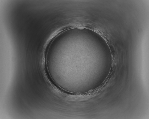 X0000114530005200910191331