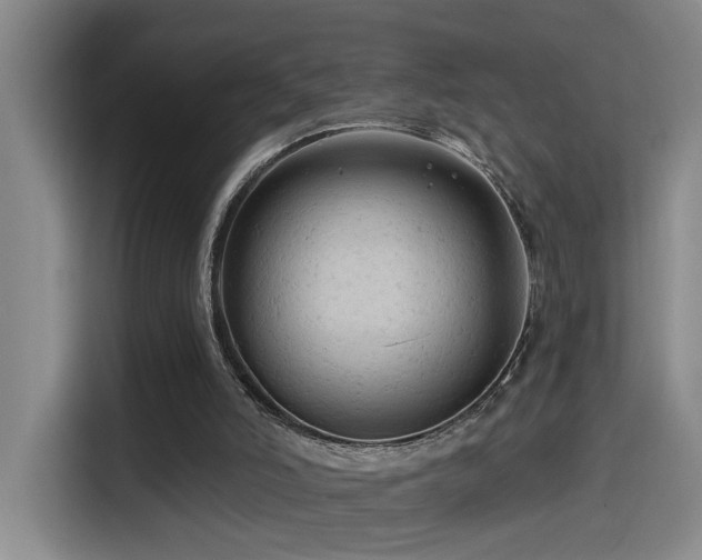 X0000114530006200910191331