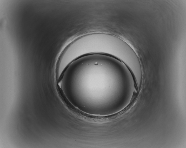X0000114530008200910191331