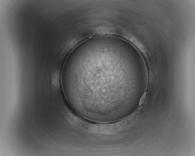 X0000114530009200910191331