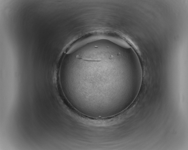 X0000114530010200910191331