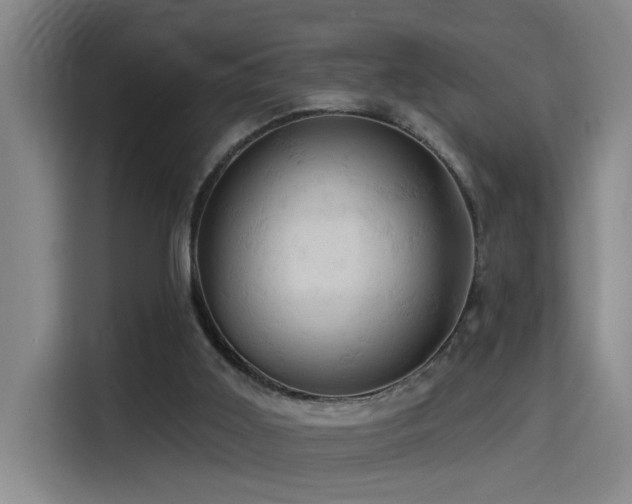 X0000114530011200910191331