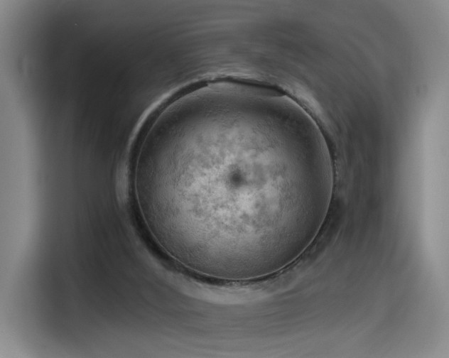X0000114530012200910191331
