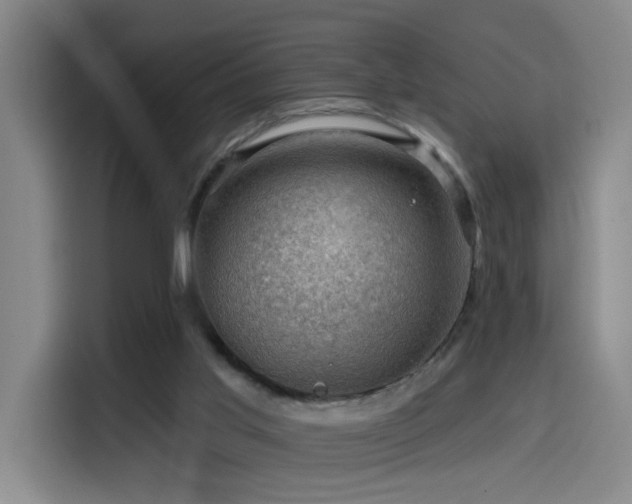 X0000114530013200910191331