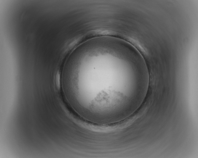 X0000114530014200910191331