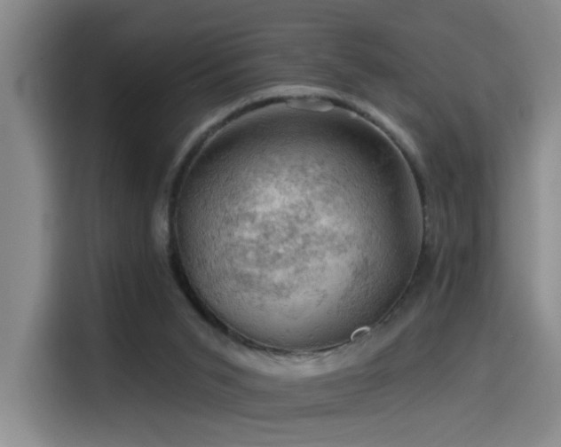 X0000114530015200910191331