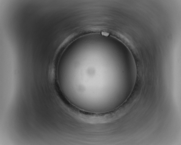 X0000114530016200910191331