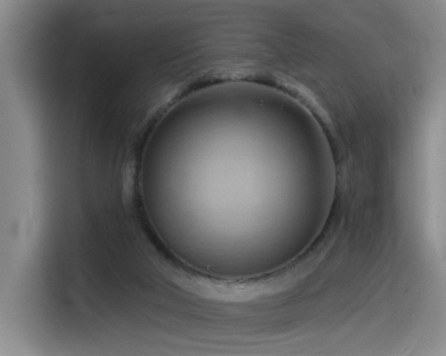 X0000114530018200910191331