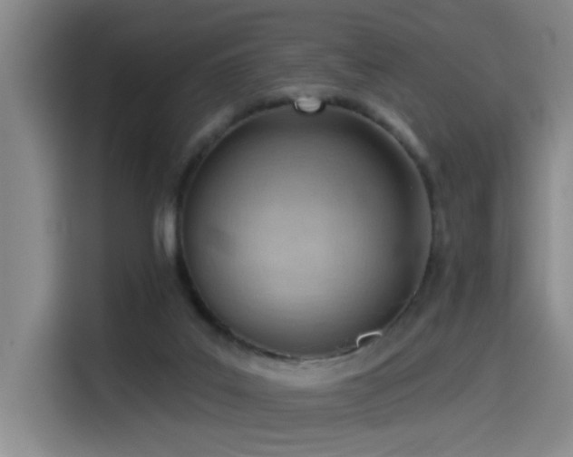 X0000114530019200910191331