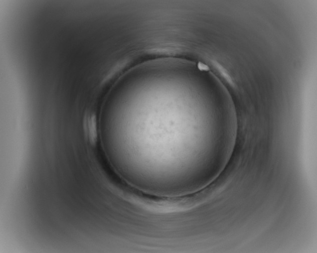 X0000114530020200910191331