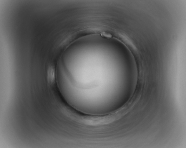 X0000114530021200910191331