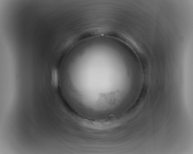 X0000114530022200910191331
