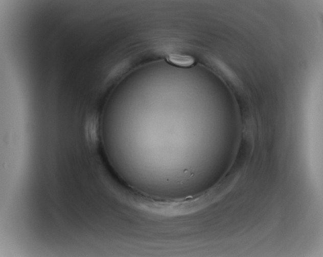X0000114530023200910191331
