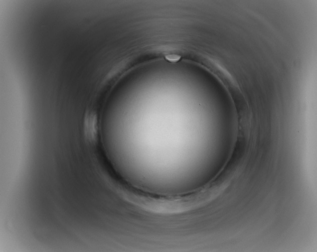 X0000114530024200910191331