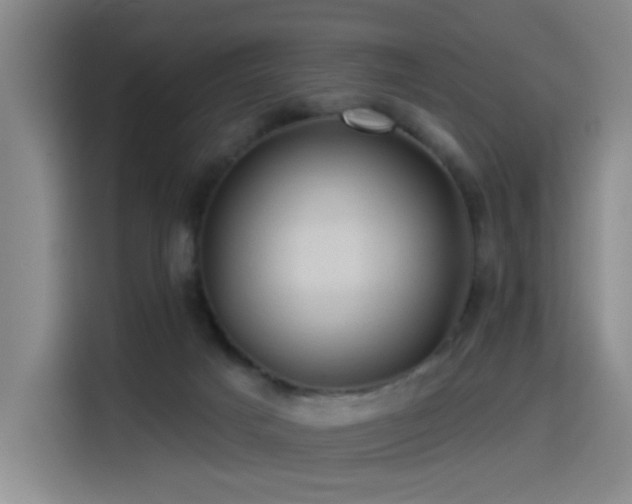 X0000114530025200910191331