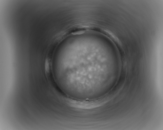 X0000114530026200910191331