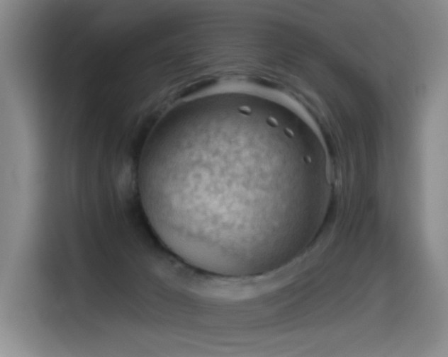 X0000114530029200910191331