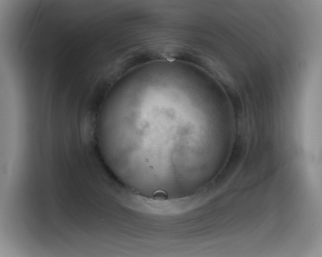 X0000114530030200910191331