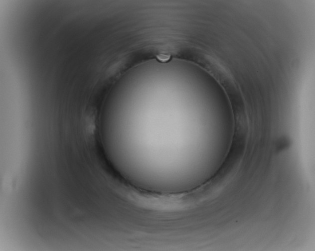 X0000114530032200910191331