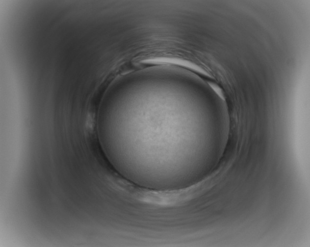 X0000114530033200910191331