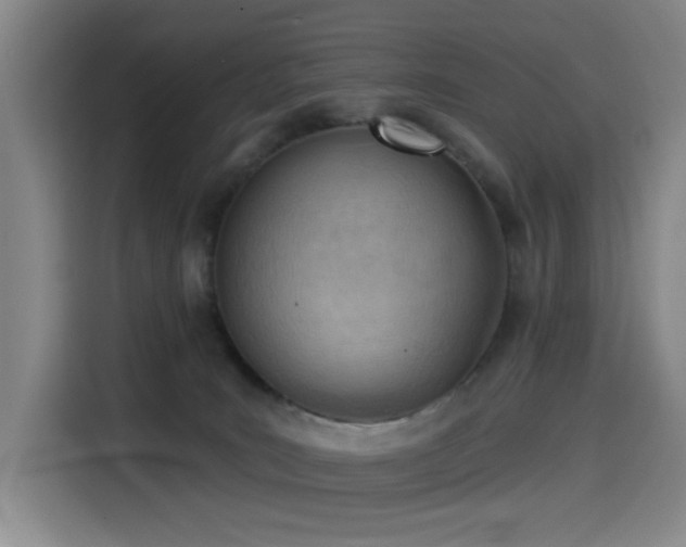 X0000114530035200910191331