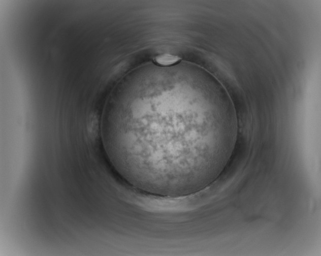 X0000114530036200910191331