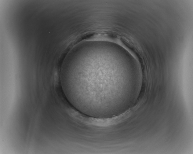 X0000114530037200910191331