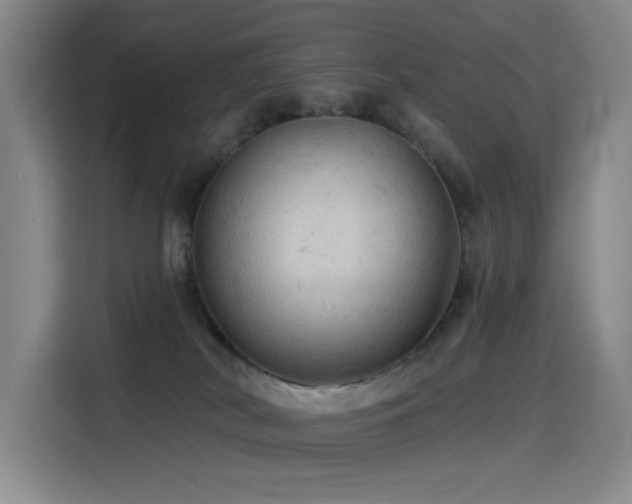 X0000114530038200910191330