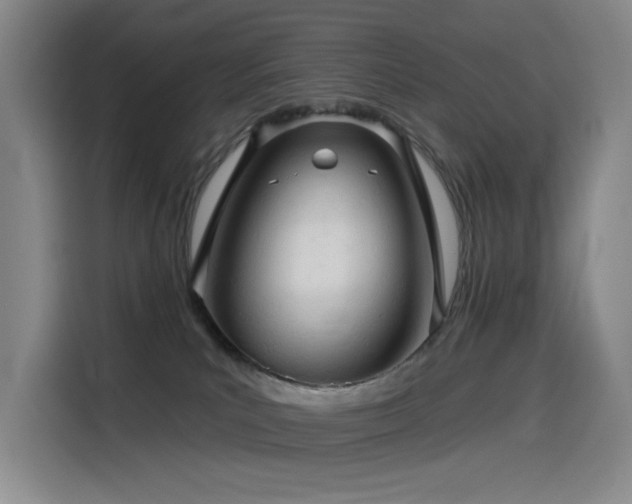 X0000114530039200910191330