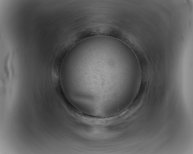 X0000114530040200910191330