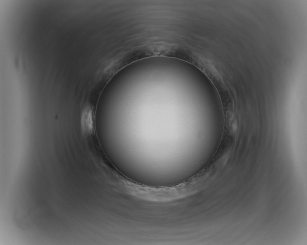X0000114530042200910191330