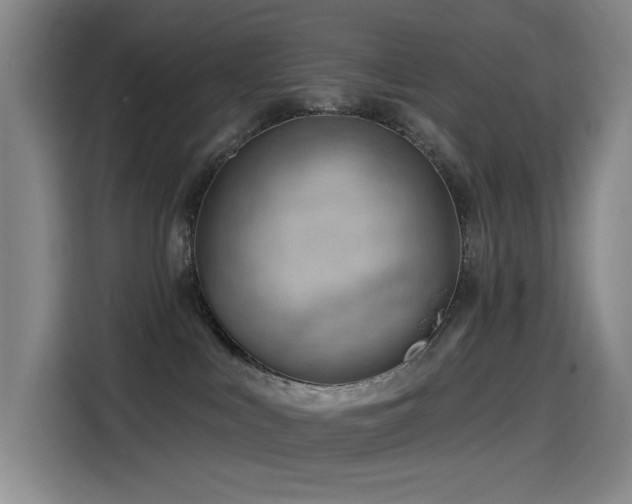 X0000114530043200910191330
