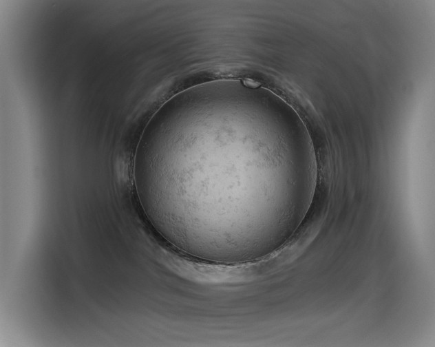 X0000114530044200910191330