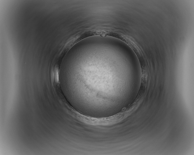 X0000114530046200910191330