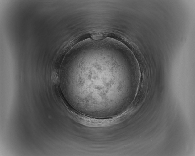 X0000114530048200910191330