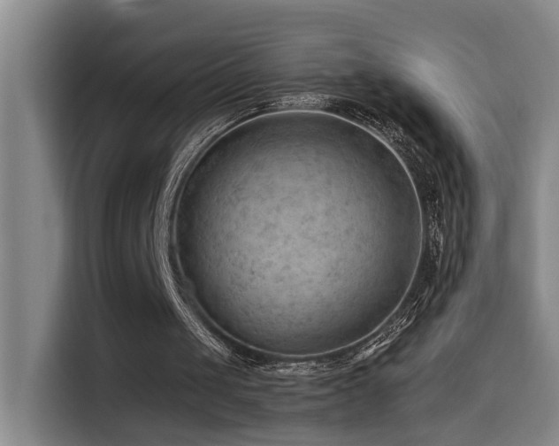 X0000114530049200910191330