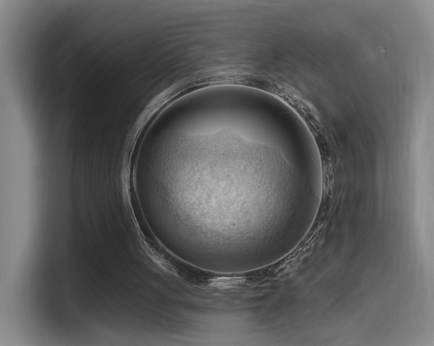 X0000114530051200910191330