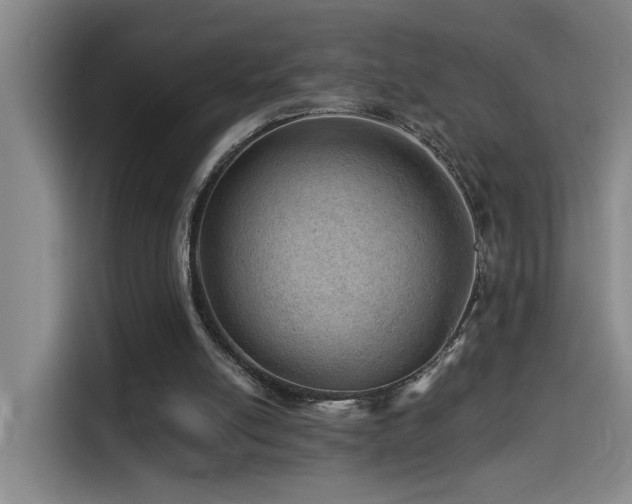 X0000114530054200910191330