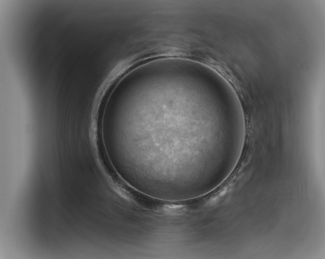 X0000114530055200910191330