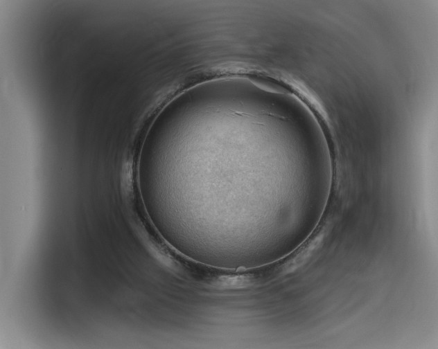 X0000114530057200910191330