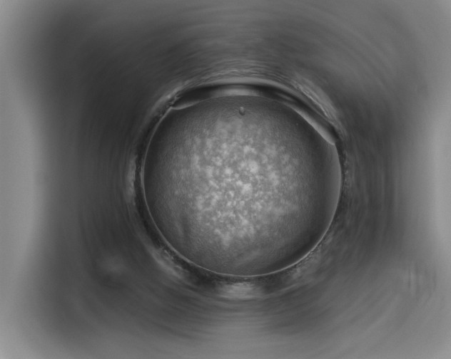 X0000114530058200910191330