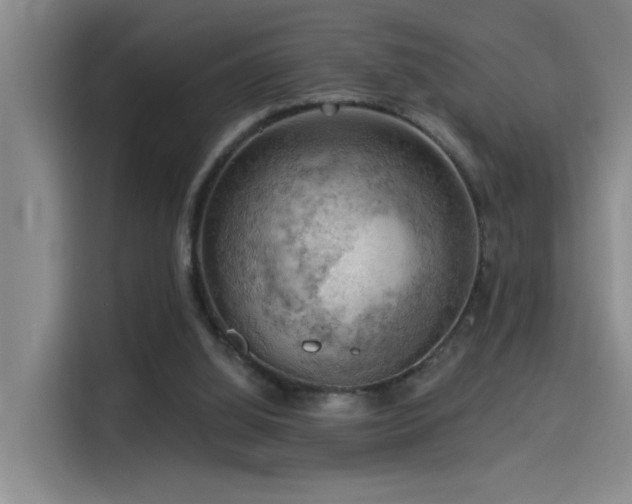 X0000114530060200910191330