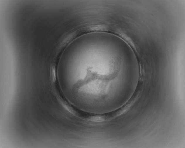 X0000114530061200910191330