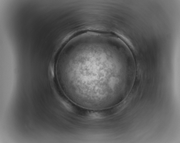 X0000114530062200910191330