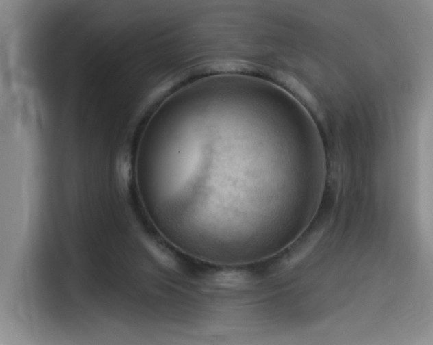 X0000114530063200910191330