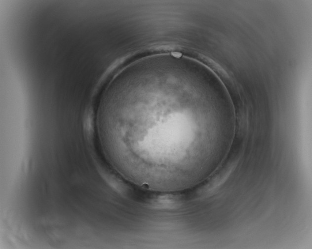 X0000114530064200910191330